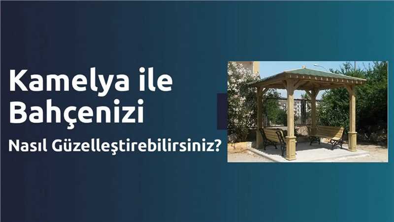 Kamelya İle Bahçenizi Nasıl Güzelleştirebilirsiniz?